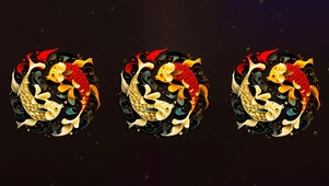 4K 锦鲤 太极锦鲤