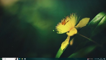 治愈蝴蝶—【主题桌面】