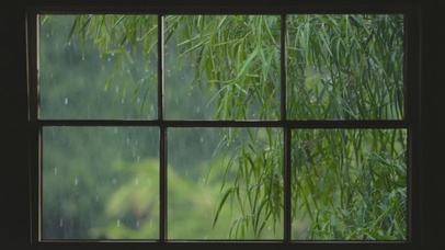 窗外雨景