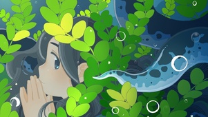 水之恋