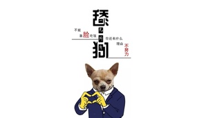 不能靠脸吃饭
