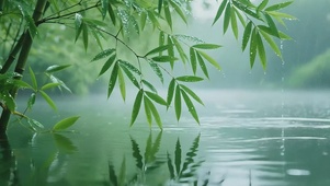 下雨湖水竹韵