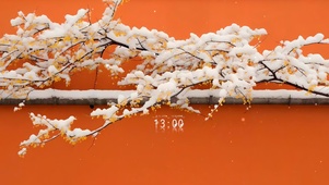 雪上枝头