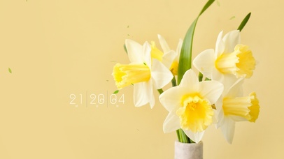 4k简约清新桌面