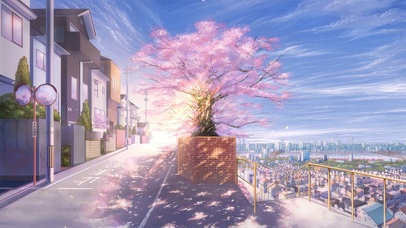 蓝天白云樱花飞舞