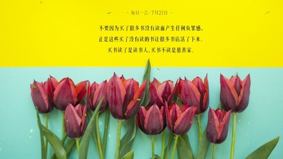 4k清新绿植桌面