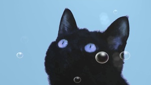 桌面逗猫玩儿~
