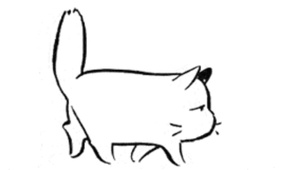 肥猫第一弹