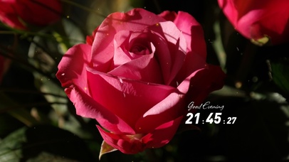 简约小清新花草桌面