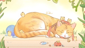 午睡的猫咪