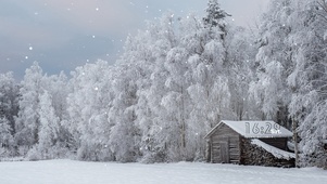 雪屋