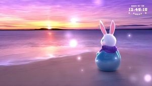 海边看夕阳的兔纸