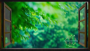 窗外春雨