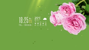 4k治愈绿植桌面