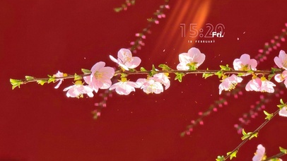 治愈红墙桃花开