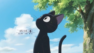 治愈 黑猫