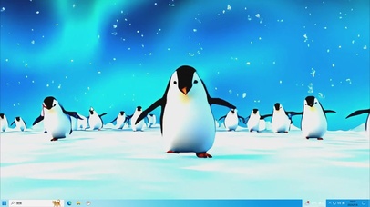 可爱的小企鹅-桌面主题