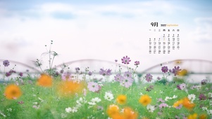 繁花似锦