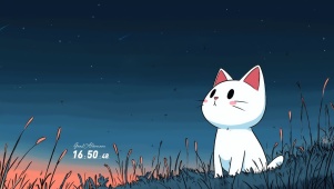 星夜流星