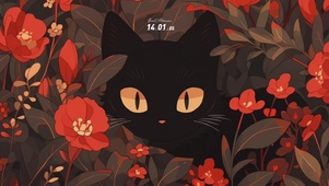 黑猫