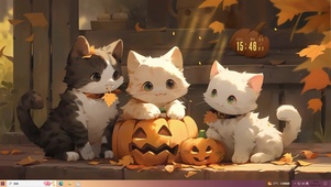 三只萌猫