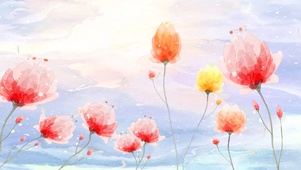 云星之花