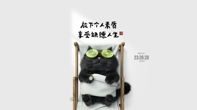 自由且洒脱 猫咪