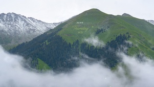 云雾高山