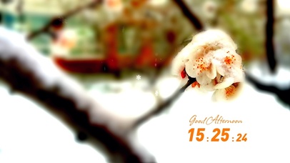 校园冬梅（带时间）