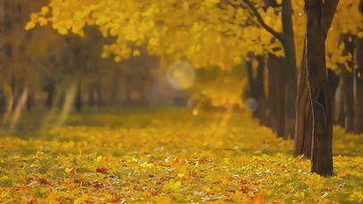 人间忽晚，山河已秋。
