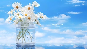 小清新鲜花