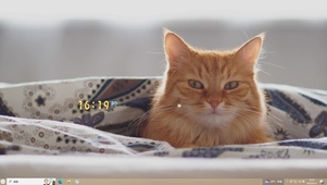 慵懒猫咪主题壁纸