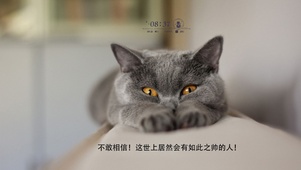 被帅哥惊到的小猫咪