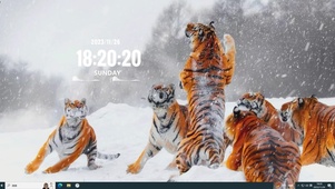 雪中虎主题