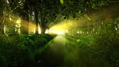 4K唯美治愈绿色护眼森林河流