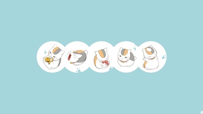 可爱的猫咪老师