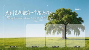 大树会拥抱每一个抬头的人-分区