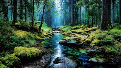 超解压静谧山林溪流