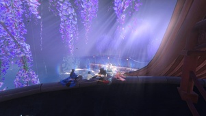 憨憨结义一周年