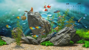护眼水族馆