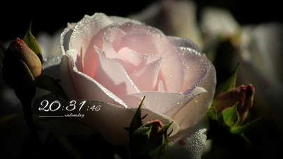 4k高清冷美系列