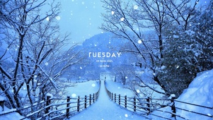 冬季的雪道
