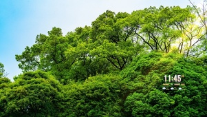 唯美绿树