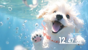 水下狗狗