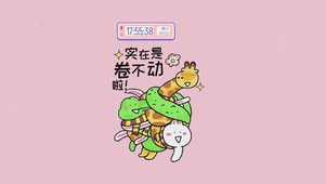 实在卷不动啦