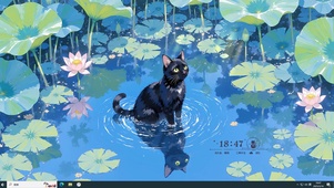 荷塘 猫咪