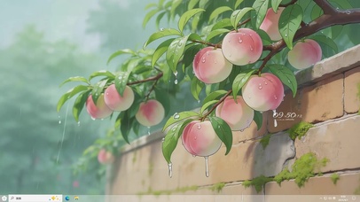 雨天水蜜桃