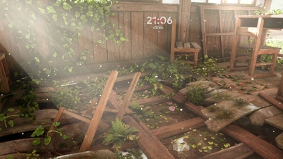 唯美阳光下的花草