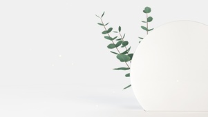 4k极简纯色绿植桌面