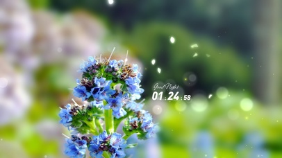 6K唯美治愈护眼素雅小蓝花